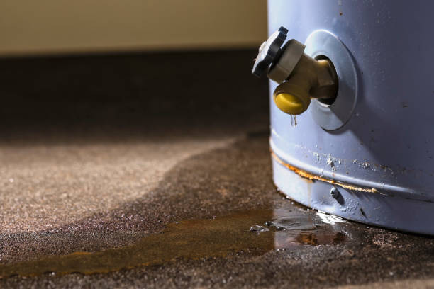 Best Flood restoration services  in Masury, OH