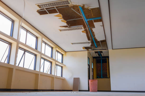 Best Fire Damage Restoration  in Masury, OH