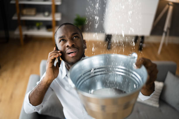 Best Water damage cleanup near me  in Masury, OH