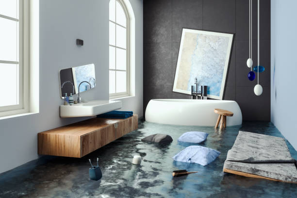 Best Professional water damage repair  in Masury, OH