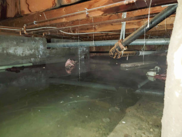 Best Flooded house restoration  in Masury, OH