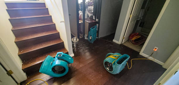 Best Mold removal after water damage  in Masury, OH