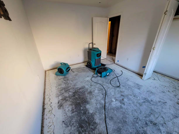 Best Water damage restoration cost  in Masury, OH