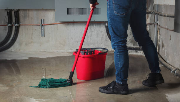 Reliable Masury, OH Water damage restoration Solutions