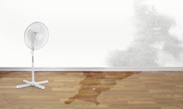 Best Water damage restoration near me  in Masury, OH