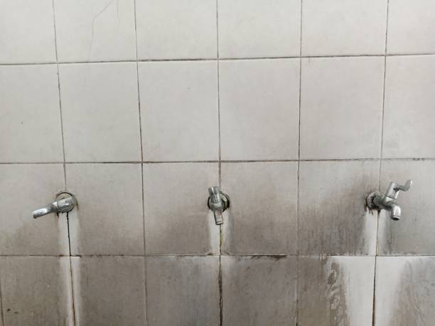 Best Ceiling water damage repair  in Masury, OH