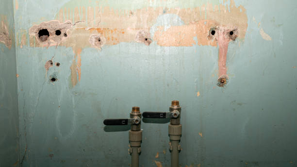 Best Basement water damage restoration  in Masury, OH