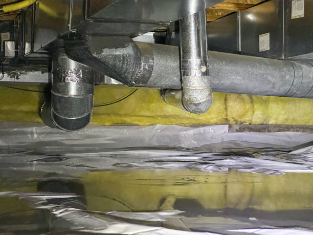 Best Flood damage cleanup  in Masury, OH