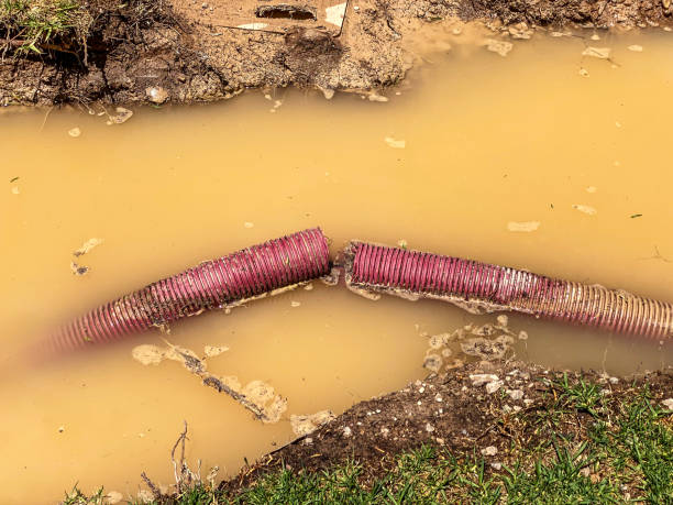 Best 24-hour water damage restoration  in Masury, OH