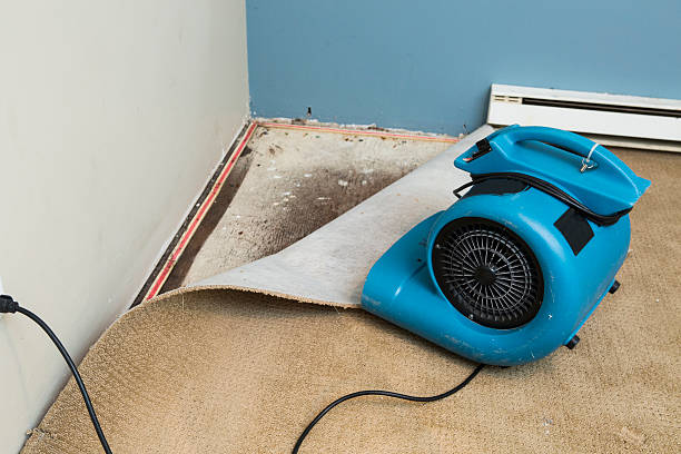 Best Water damage restoration specialists  in Masury, OH